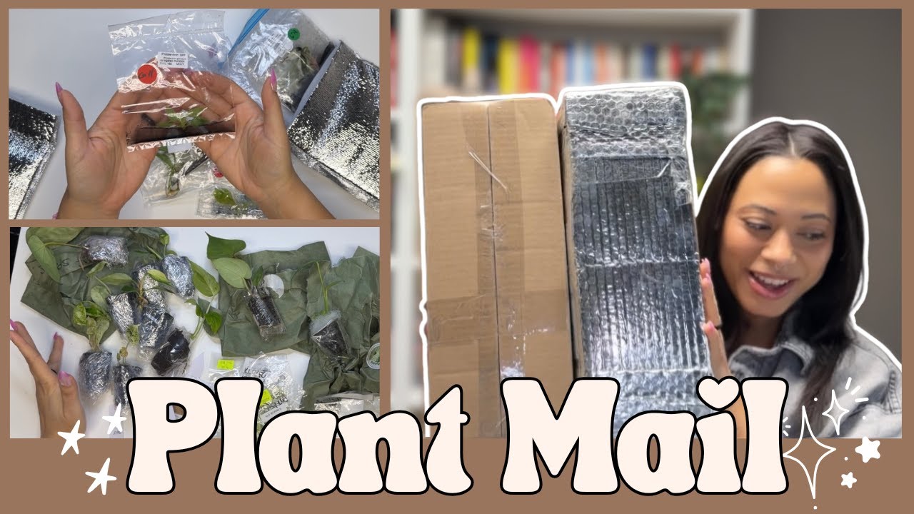 Unboxing New Plants! | Tissue Culture & Baby Plant Hauls