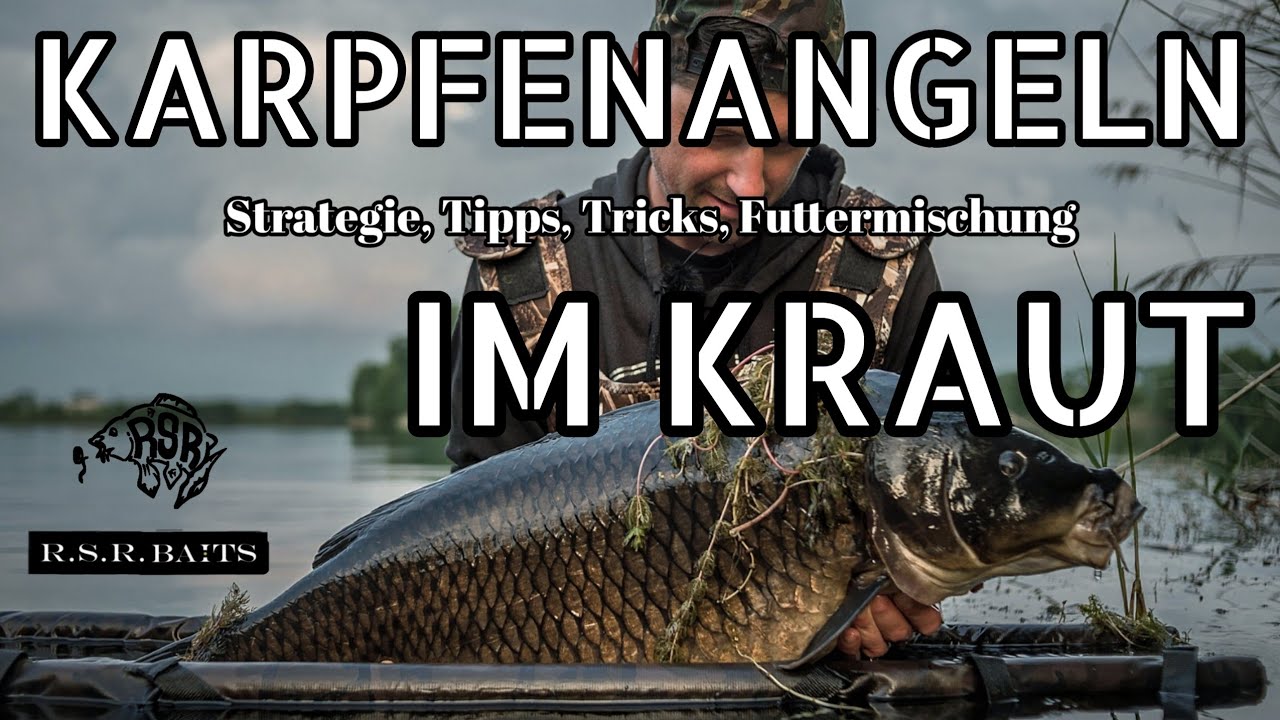 Karpfenangeln im Kraut | Tipps & Tricks für krautige Gewässer mit RSR-BAITS
