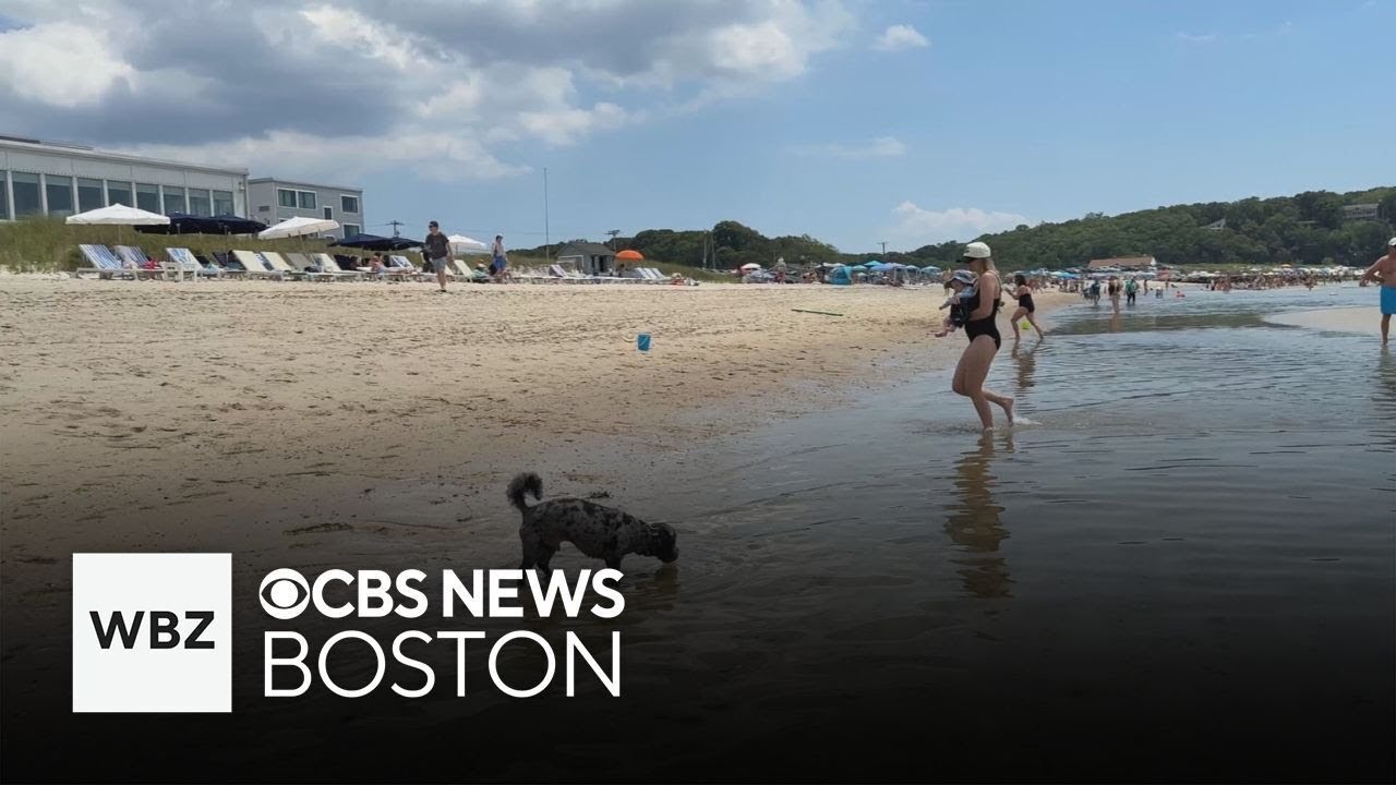 Cape Cod resort provides a fun time for the whole family, including pets