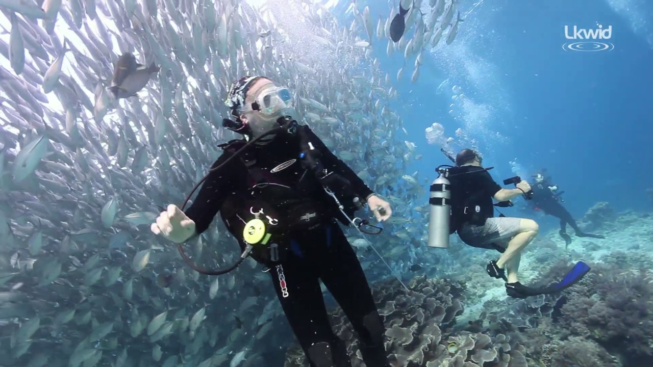 Diving Sipadan/Kapalai 2017
