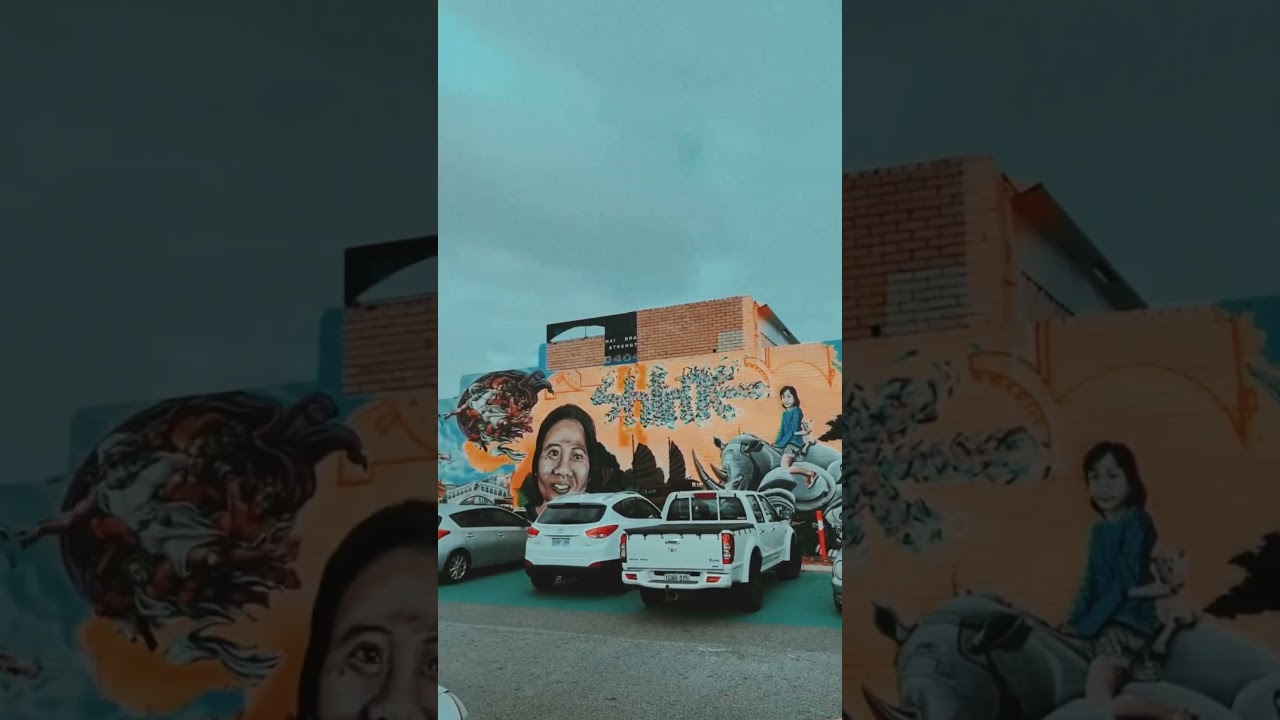 Vibrant Murals of Morley, Perth: Get Mesmerized by Eye-Catching Art in 60 Seconds! #artwork #mural
