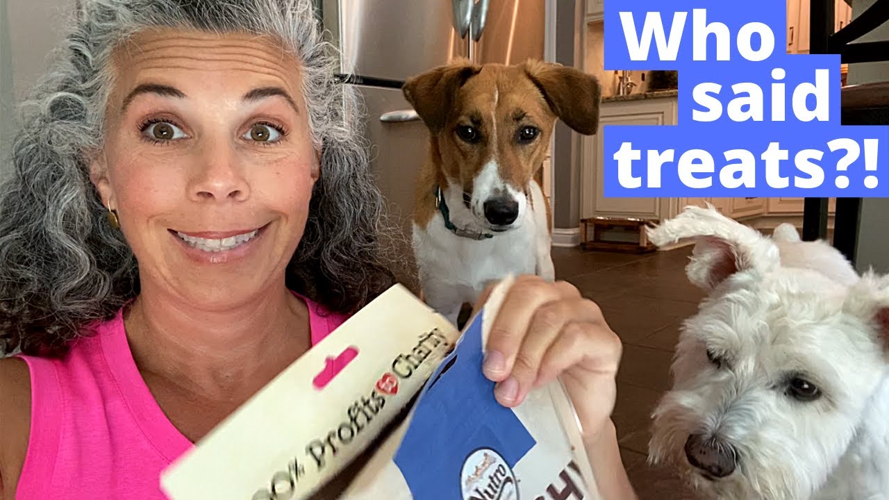 MY DOGS SHOW YOU INSIDE THEIR SNACK CABINET ~ WHAT POLLUX & MAXXIE LIKE TO EAT