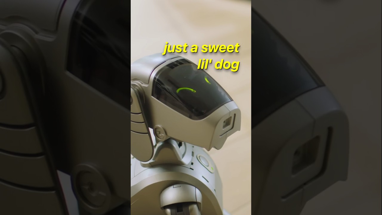 AIBO: The Perfect Robot