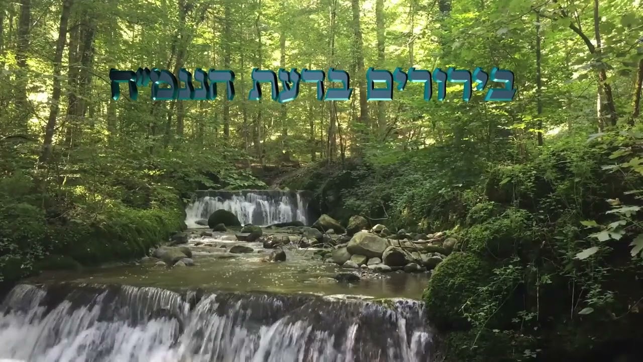 רחמנות במידה נכונה - הרב אברהם פלג כהן