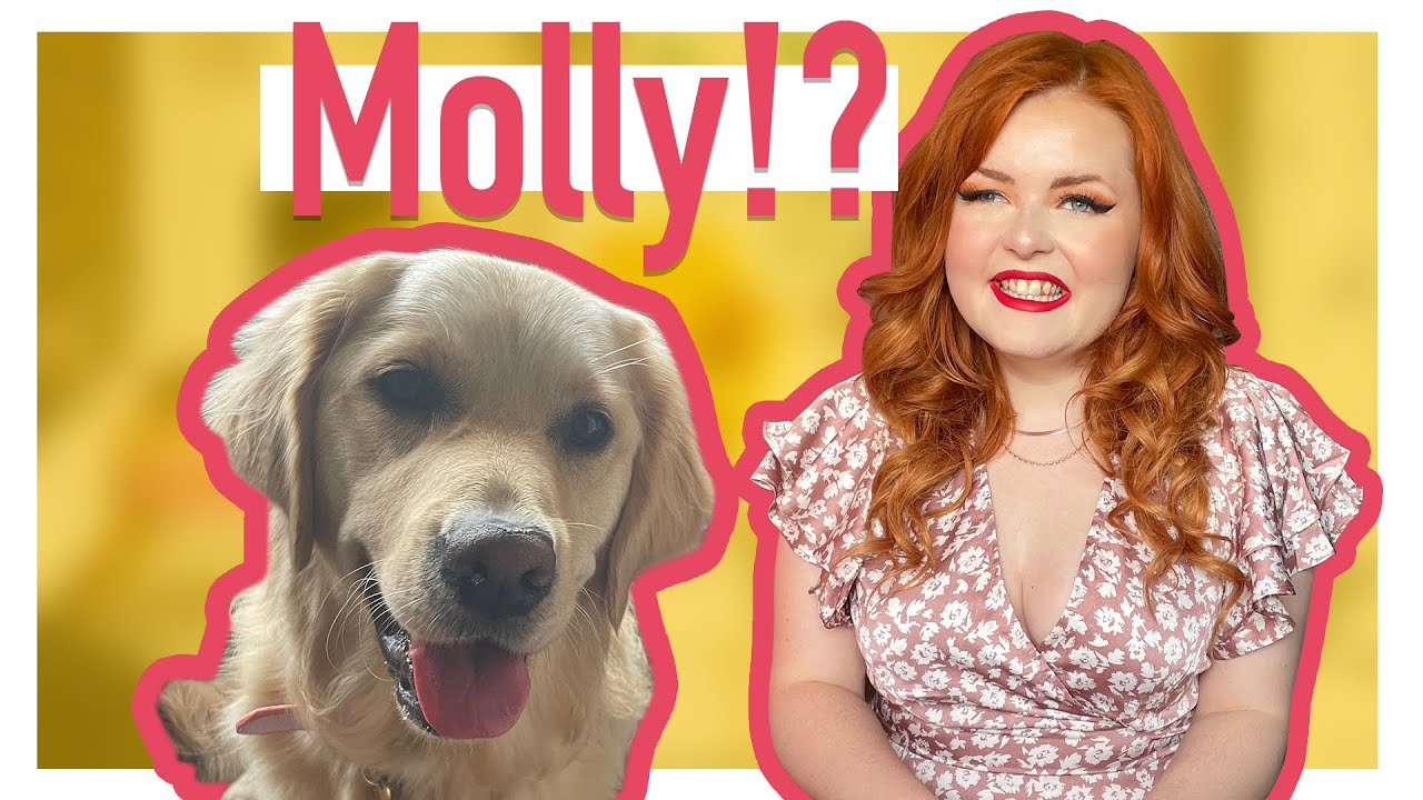 Getting Paired With My Potential New Guide Dog