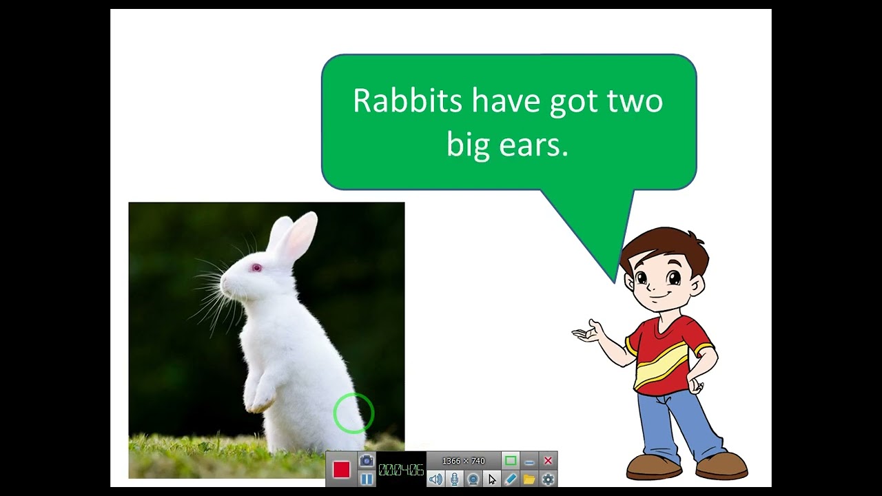 Quick Minds 2. Unit 7. In the countryside. Lesson 4