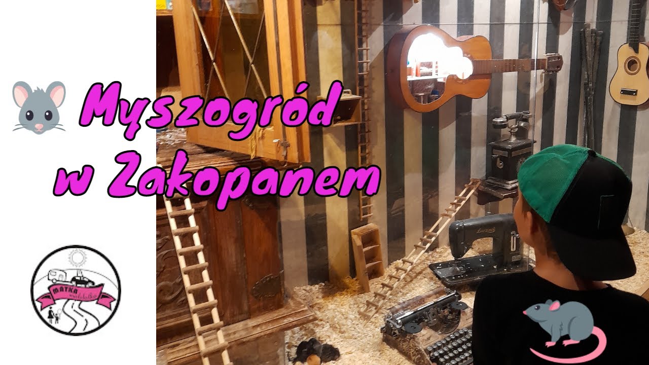 Zwiedzamy Myszogród w Zakopanem #myszogród, #zakopane