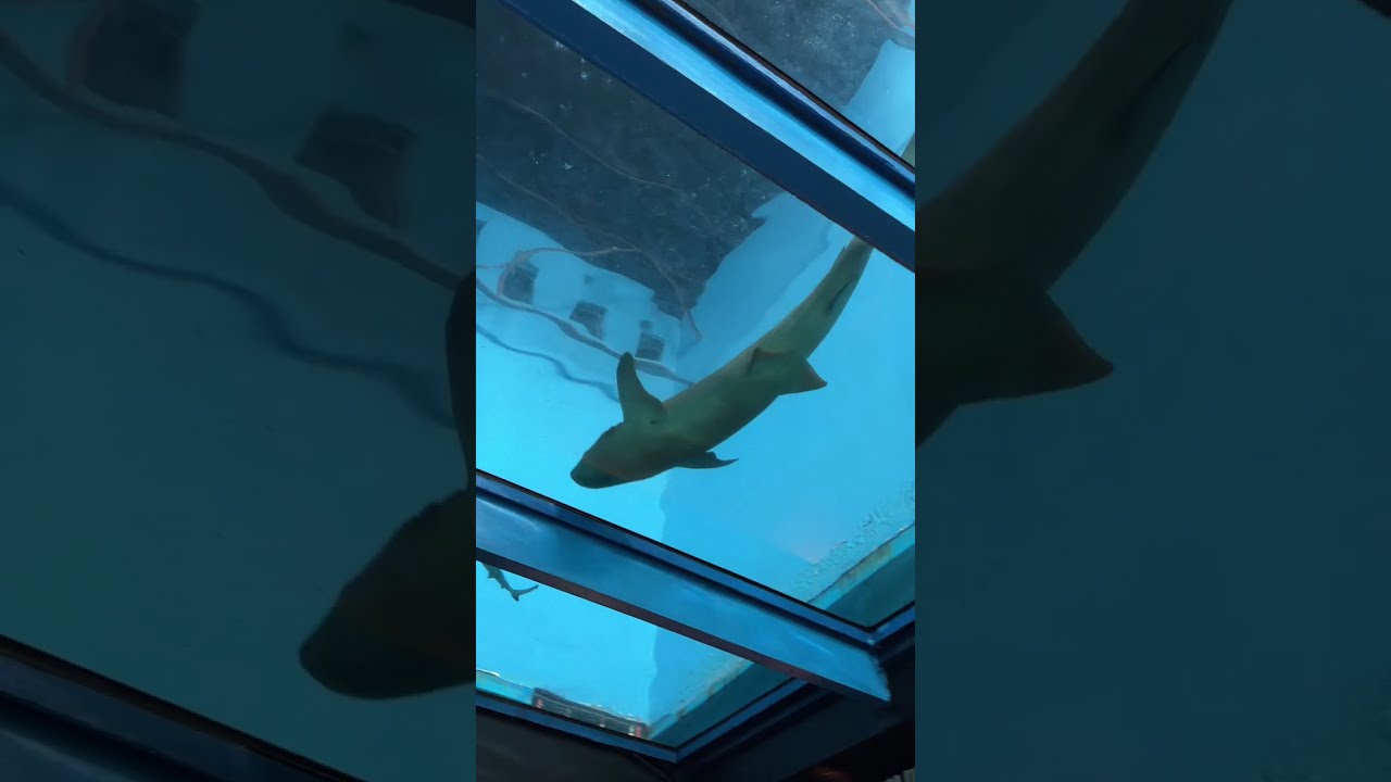 Manila ocean park 2026