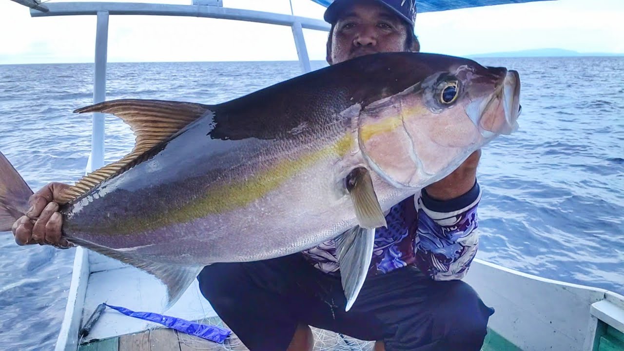 menggunakan teknik hambur,, dapat lagi sambaran ikan babon