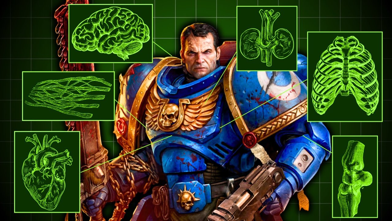 How Strong Is A Space Marine Really? | Warhammer 40K Explained