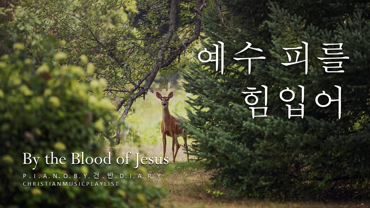 예수피를 힘입어 | 사순절&고난주간 | 어노인팅 | 잔잔한피아노 |  CCM Piano