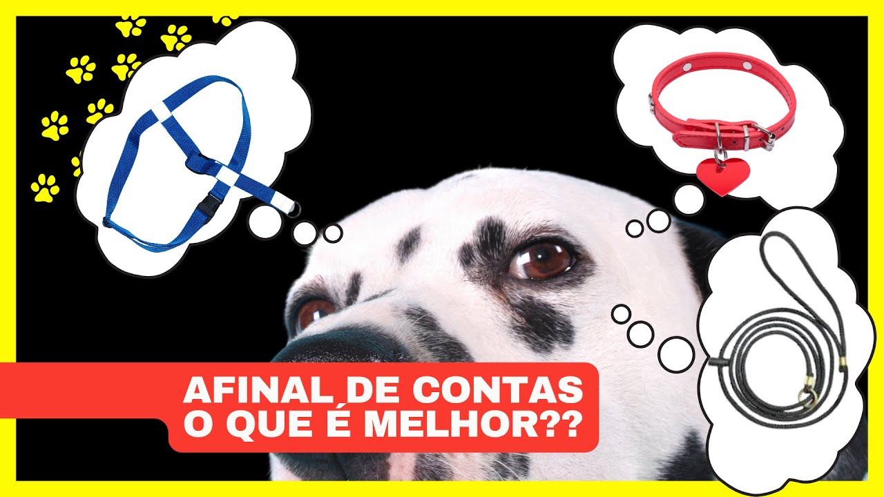 PEITORAL, COLEIRA OU GUIA UNIFICADA ?? | Descubra qual o melhor pro seu cachorro