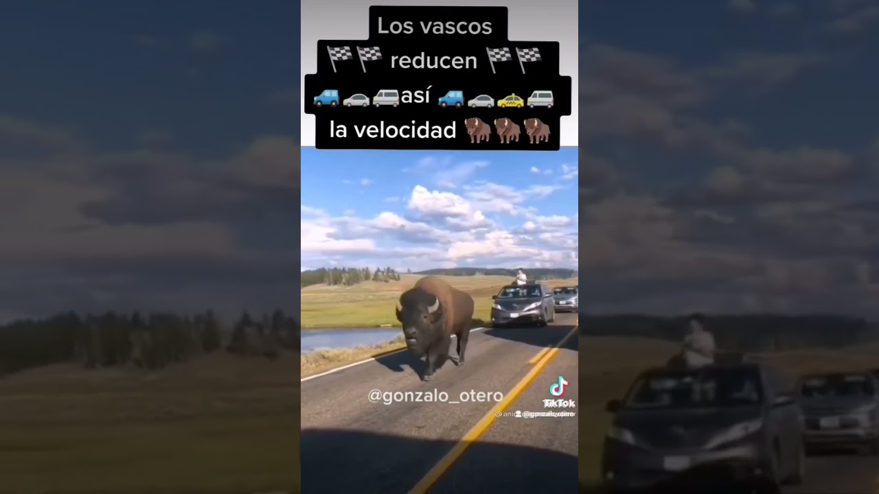 Reduciendo la velocidad en Euskadi #vascos #vasco #humor