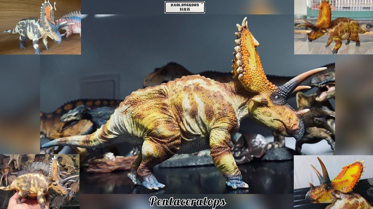 HAOLONGGOOD Pentaceratops (2023), PRODUCTO FINAL!!!, Análisis de las imágenes En Español.