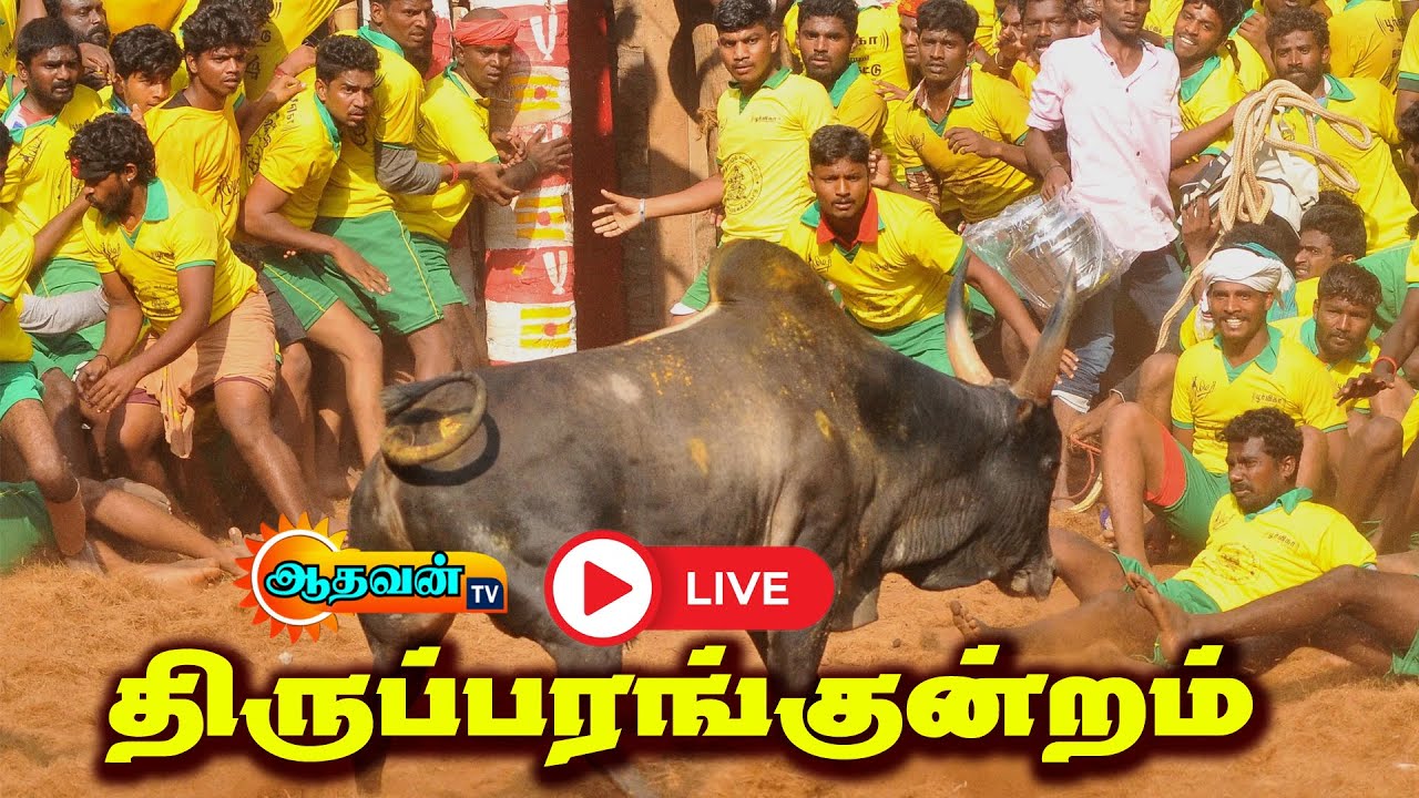 🔴LIVE  - திருப்பரங்குன்றம் சட்டமன்ற தொகுதி சார்பாக மாபெரும் ஜல்லிக்கட்டு விழா - 2026