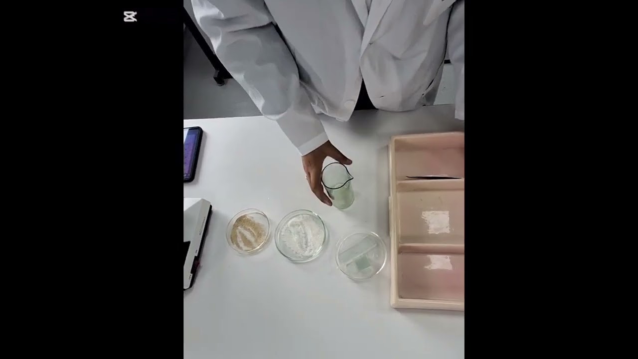 Achitqi zamburug'idan vaqtinchalik preparat tayyorlash.