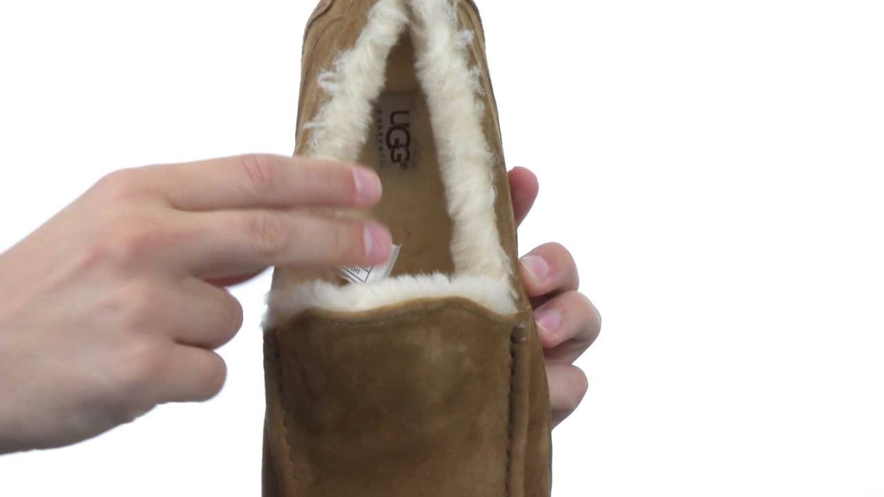 UGG Ascot  SKU:7556257
