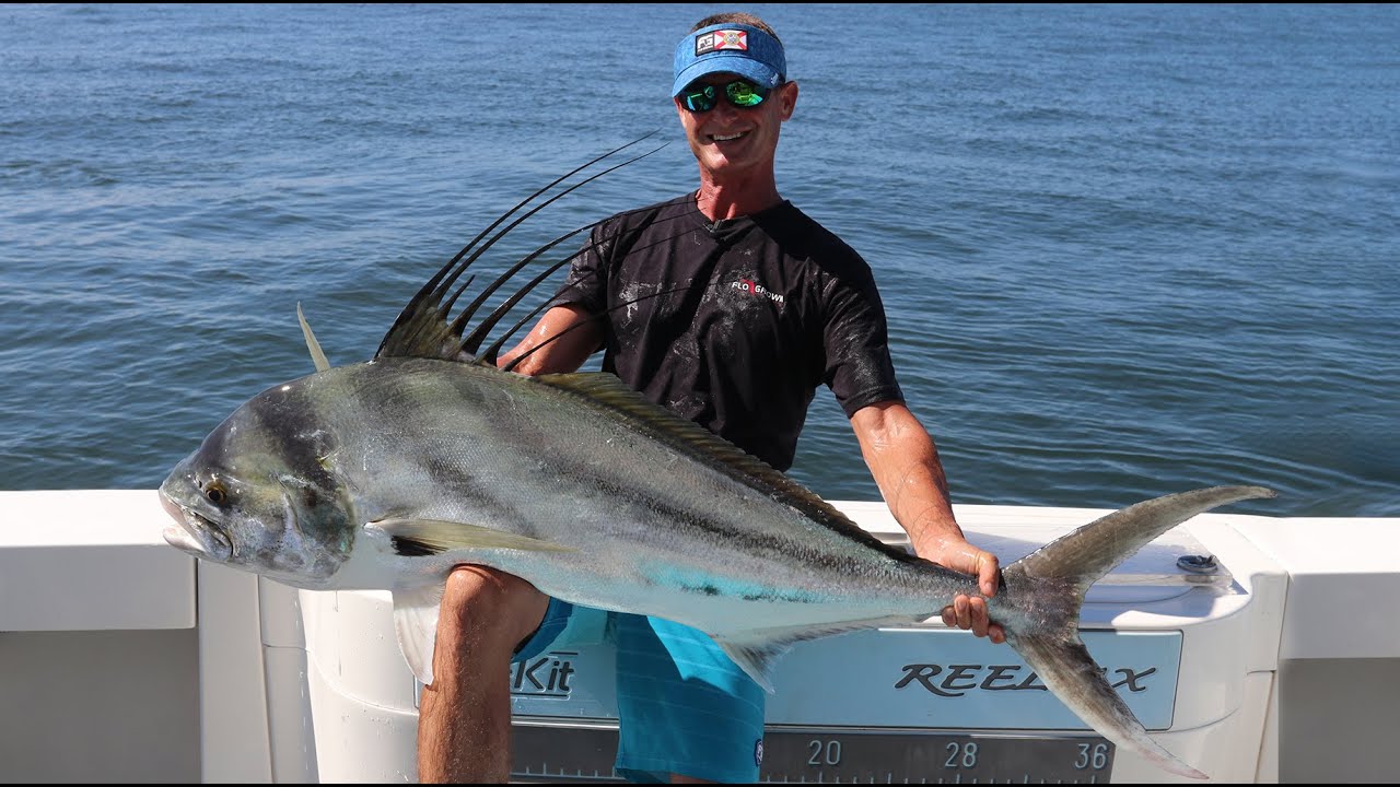 Catching Giant Roosterfish