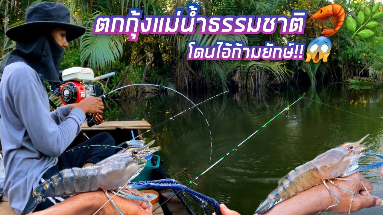 ตกกุ้งแม่น้ำธรรมชาติ🦐🌿 โดนไอ้ก้ามยักษ์ใหญ่!!😱 ยกโครตมันส์💥