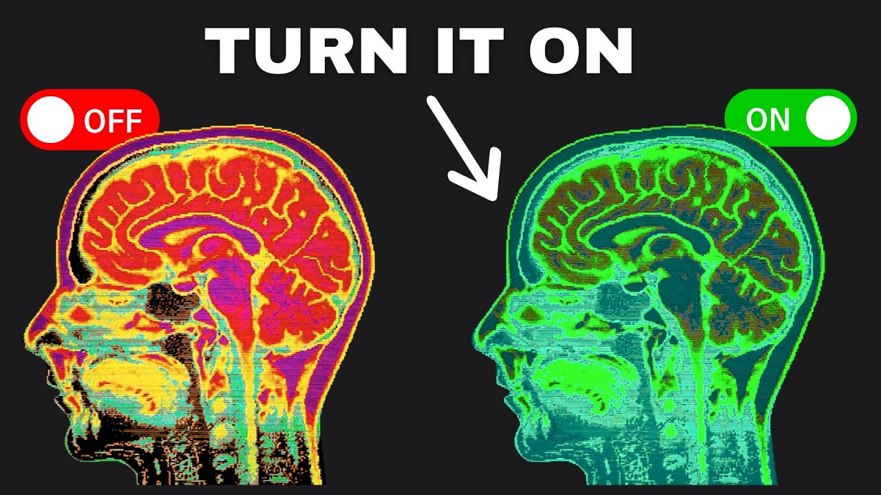 Your Brain’s Secret Cleaning System, Explained