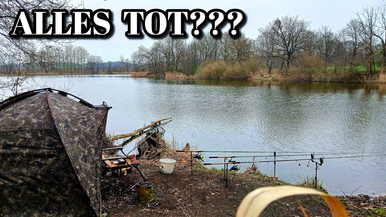 Angeln im Fr&uuml;hjahr 2026 auf Friedfisch und &uuml;berall tote Fische. Feedern am See 