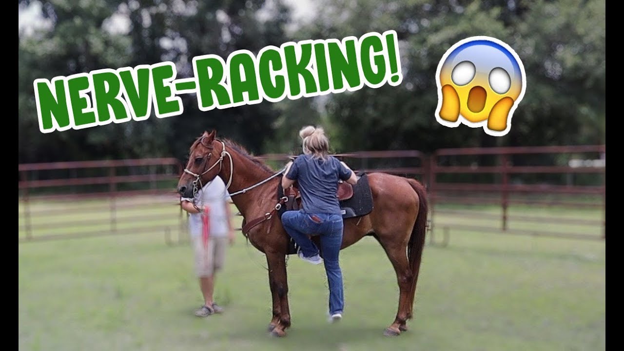 Riding the Horse I Rescued From a Kill Pen for the First Time!