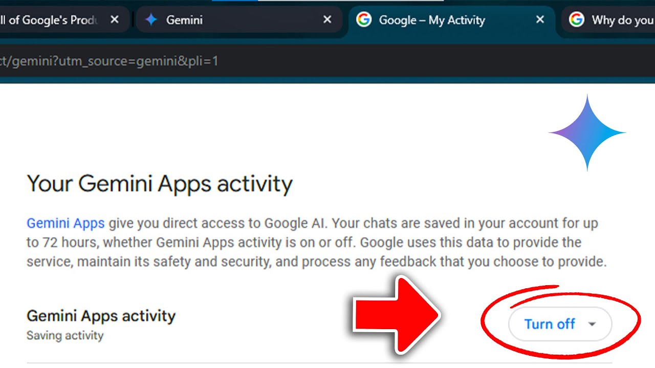 How to Delete Activity in Google Gemini on PC