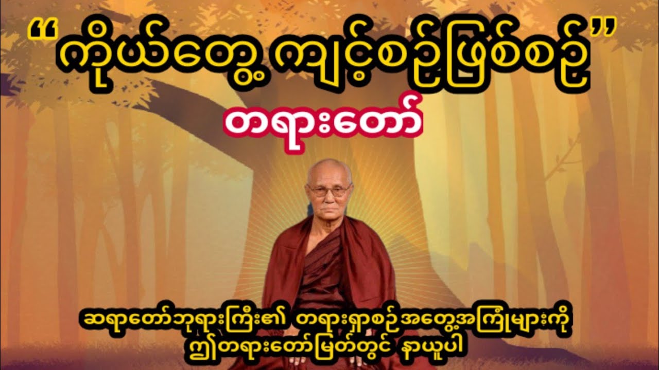ကိုယ်တွေ့ ကျင့်စဉ်ဖြစ်စဉ်တရားတော်#ဝိဇ္ဇောဒယသဲအင်းဆရာတော်ဘုရားကြီး