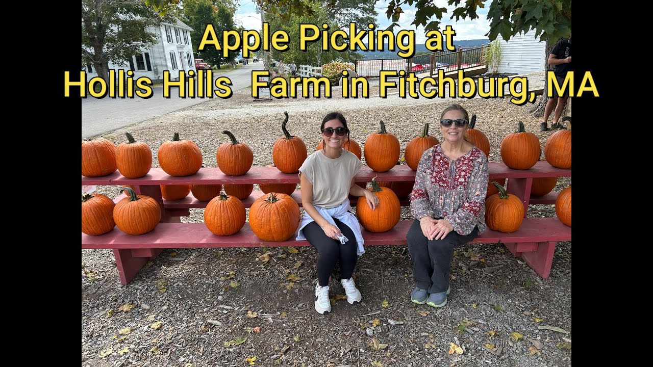 Apple Picking at Hollis Hills Farm in Fitchburg, MA #applepicking #hollishillsfarm