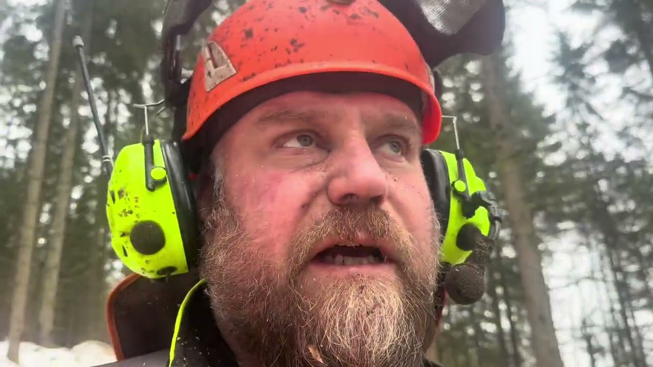 Stora träd fällda och slå på kil maraton 