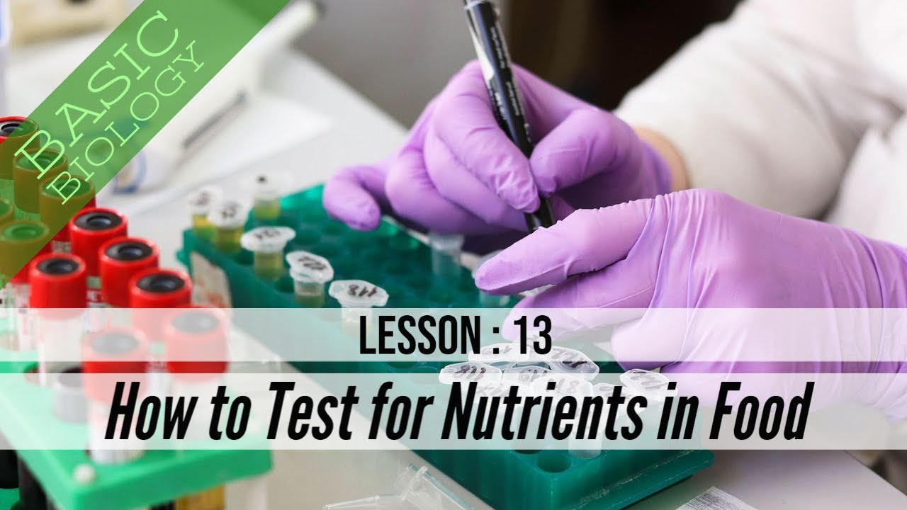 Test for Nutrients in Foods - Basic Biology - Lesson 13 (GCSE Science)