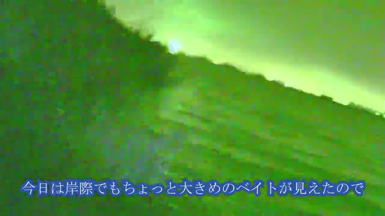 【サザンカ好調でも】涸沼夜のシーバス　波風にも強りサザンカ！！ベイトの浮き沈みが激しい状況かなぁ～　【安定しない】