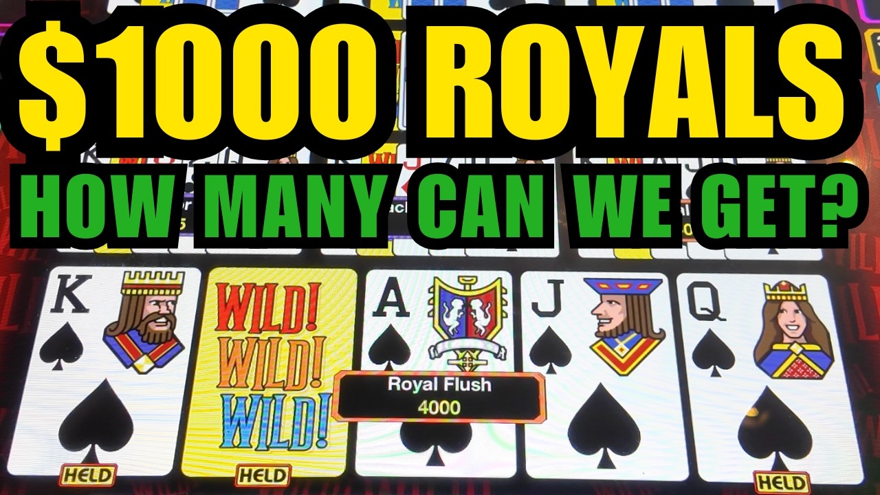 Jackpot! ROYAL FLUSHES on Double Double Bonus Video Poker- Wild, Wild, Wild 10 handed