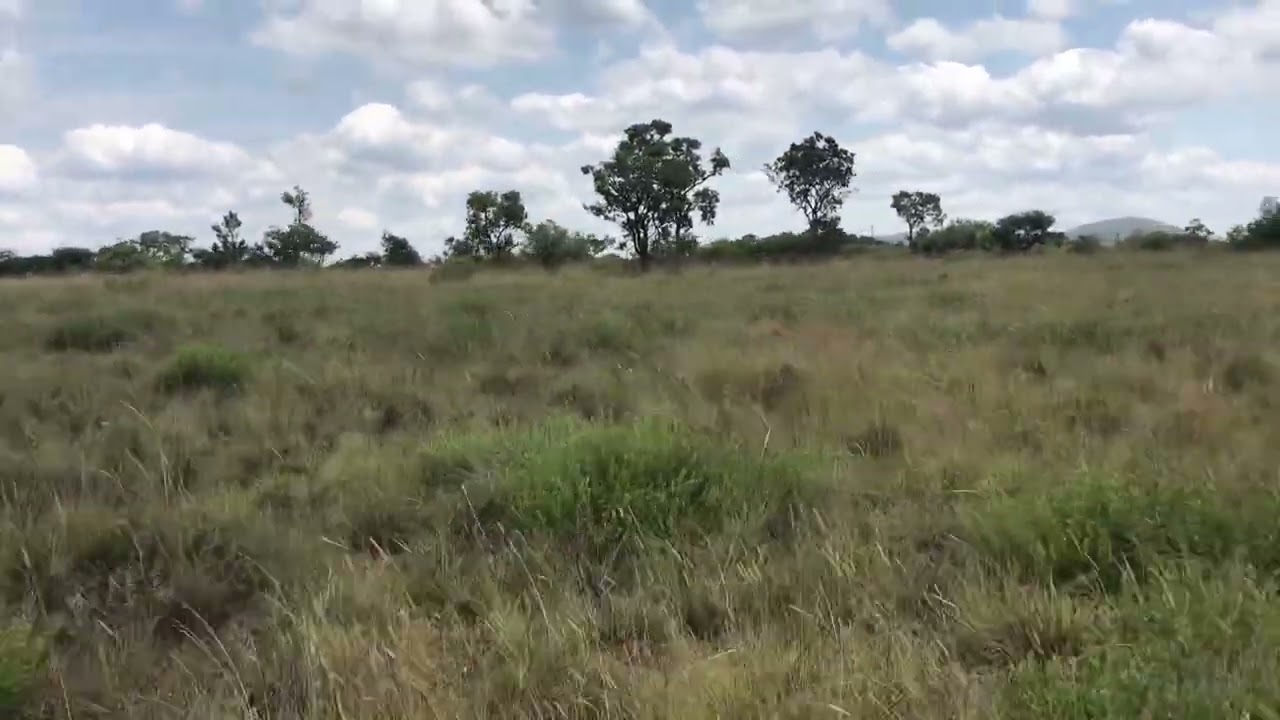 130 HA Groot Marico