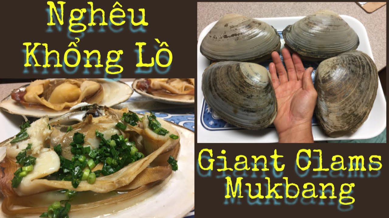 Nghêu Khổng Lồ Nướng Mỡ Hành và Hấp - Giant Clam Mukbang