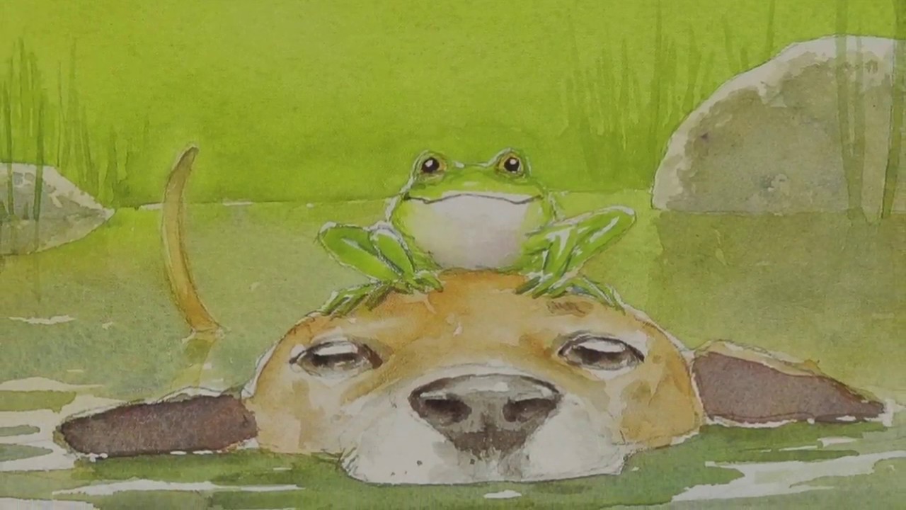 City Dog, Country Frog Read Aloud