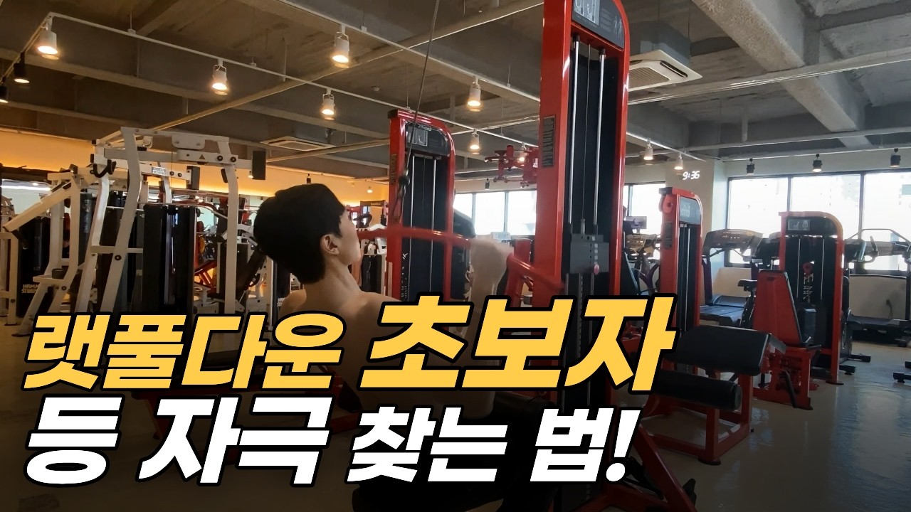 랫풀다운 자세 여자 남자 초보자 그러니까 등근육 자극이 안 오죠