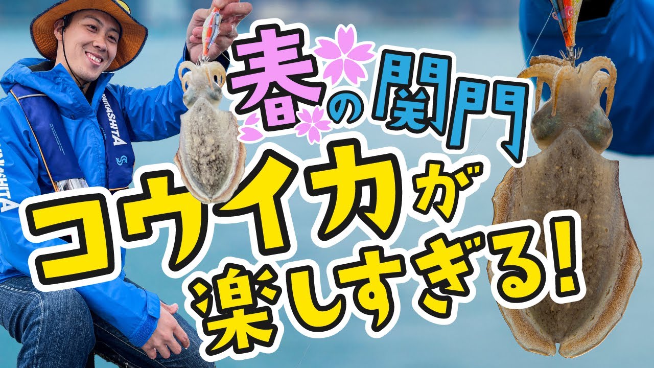 長年愛される関門(北九州・下関)のコウイカ釣りで休日をEnjoy！