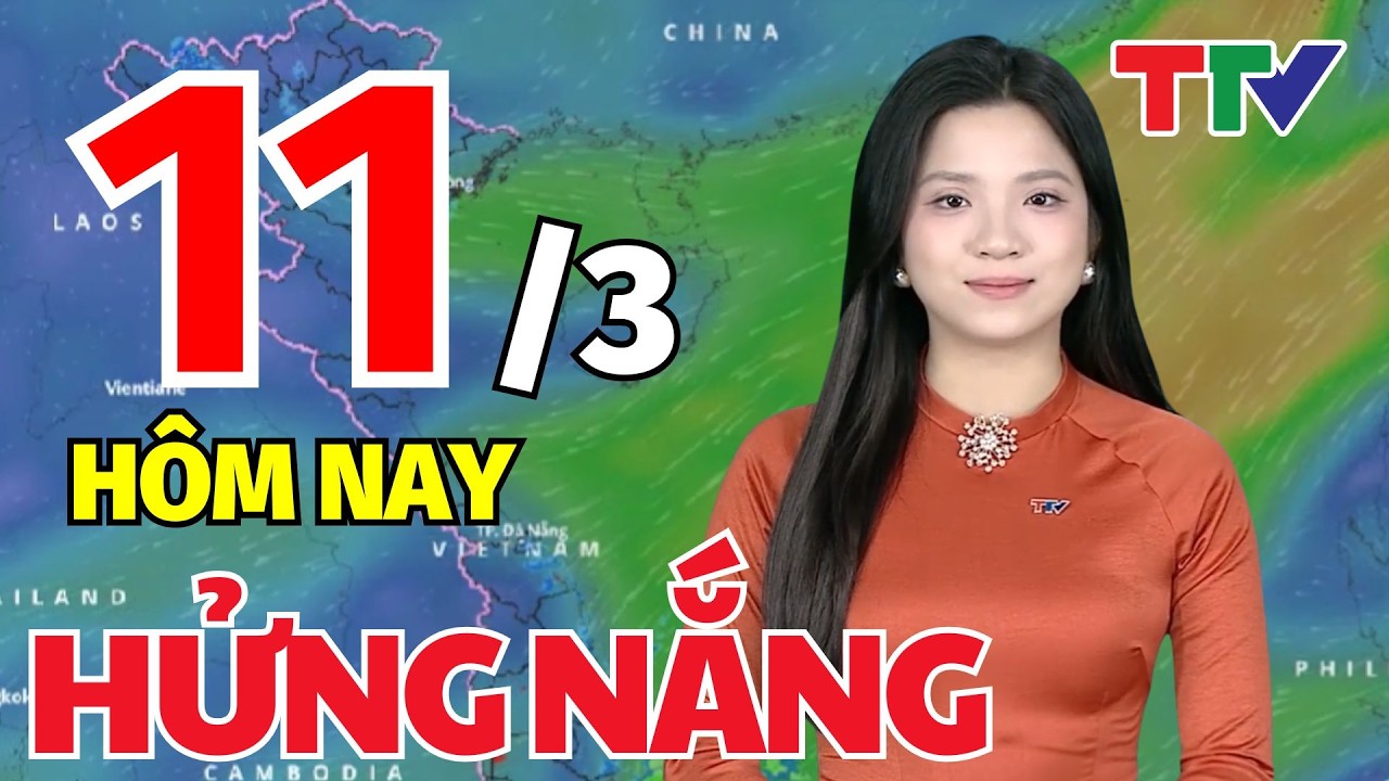 Dự báo thời tiết hôm nay 11/3/2026: Dự báo thời tiết cả nước | Bản tin cảnh báo thiên tai