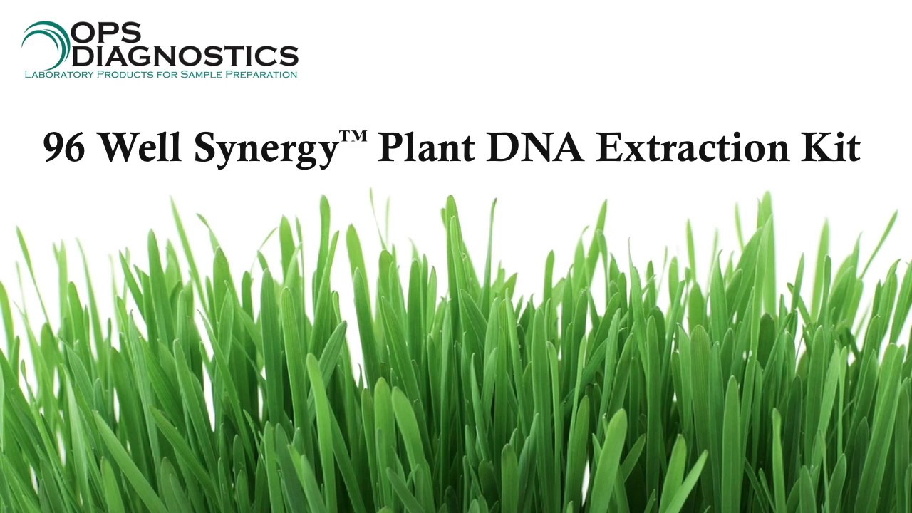 96 Well Synergy&trade; Plant DNA Extraction Kit