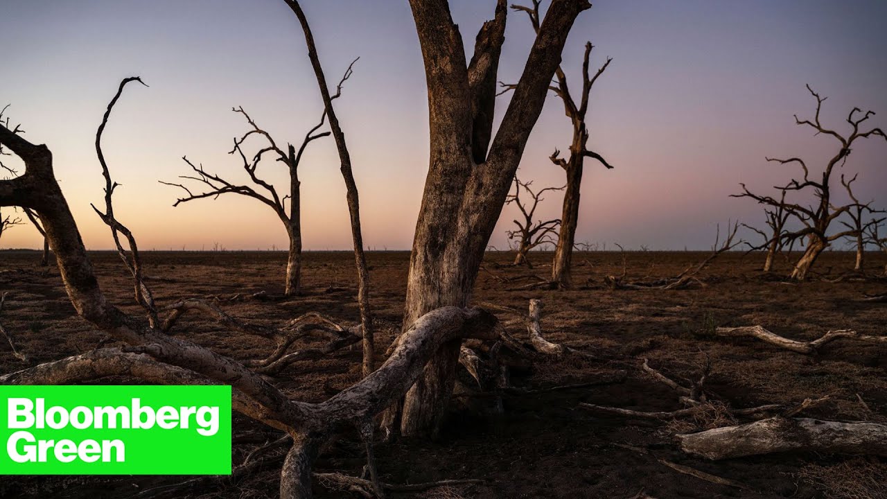 The Vanishing Water of the Murray-Darling Basin