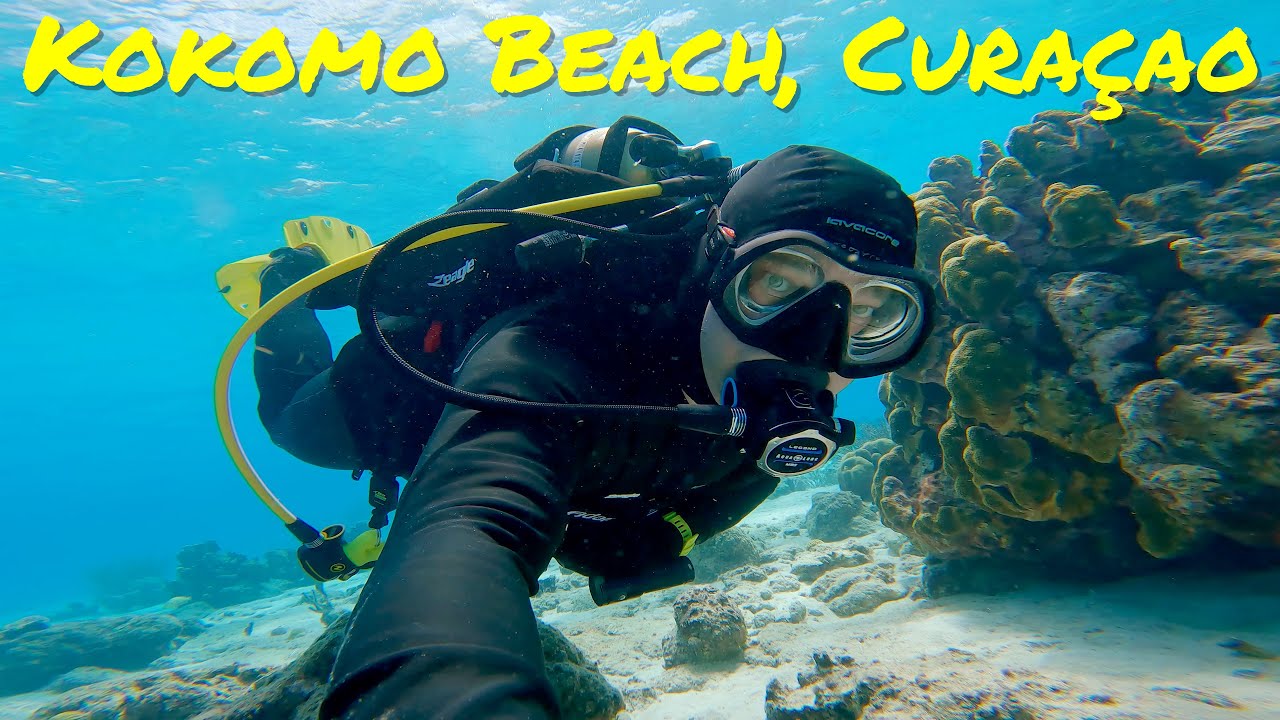 Scuba Diving Kokomo Beach, Curaçao! July 4th, 2023