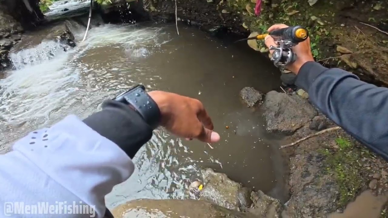 #mancing wader di Aliran kecil, ketika cuaca di guyur hujan Alhamdulillah masih ada strek kecil 