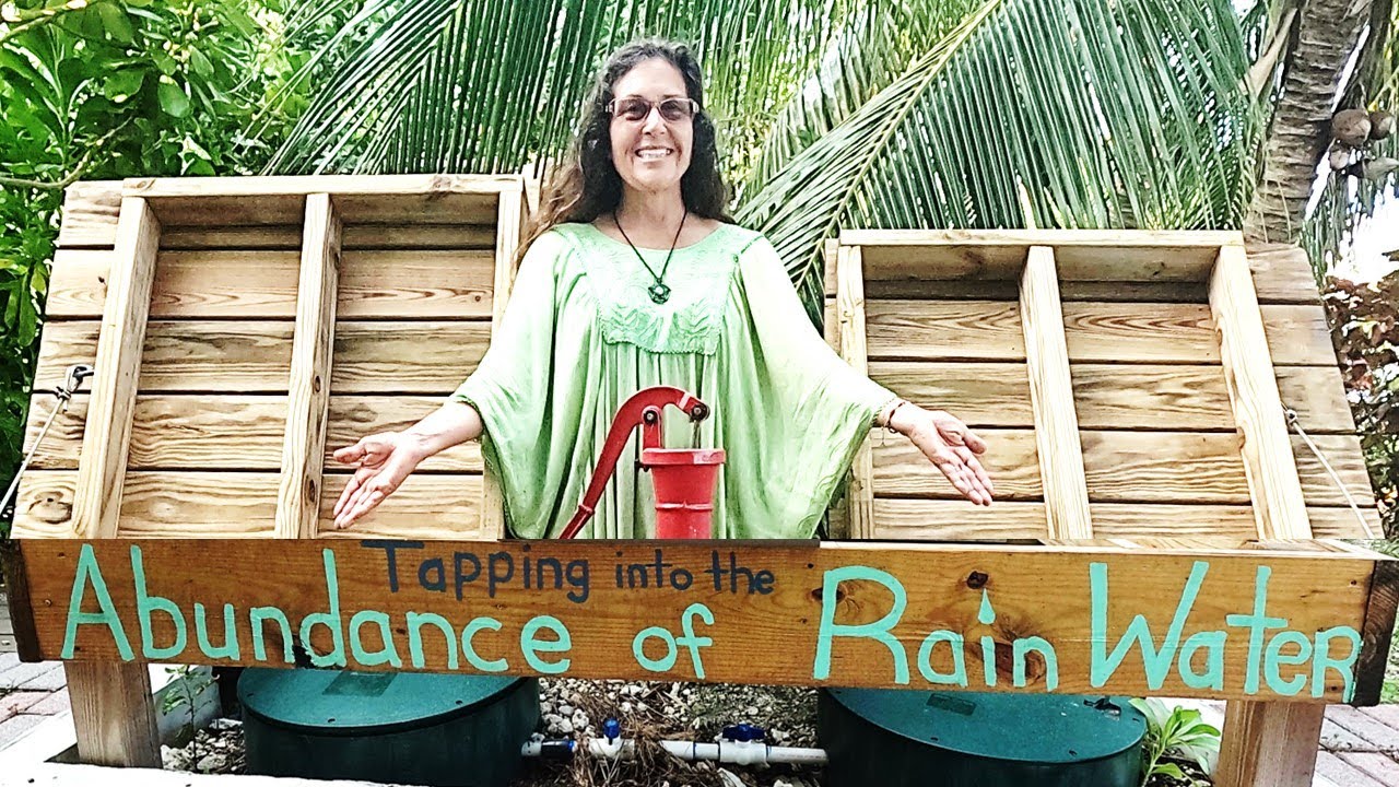 Live off Rain Water! #rainwaterharvesting #rainwater  #emergencypreparedness