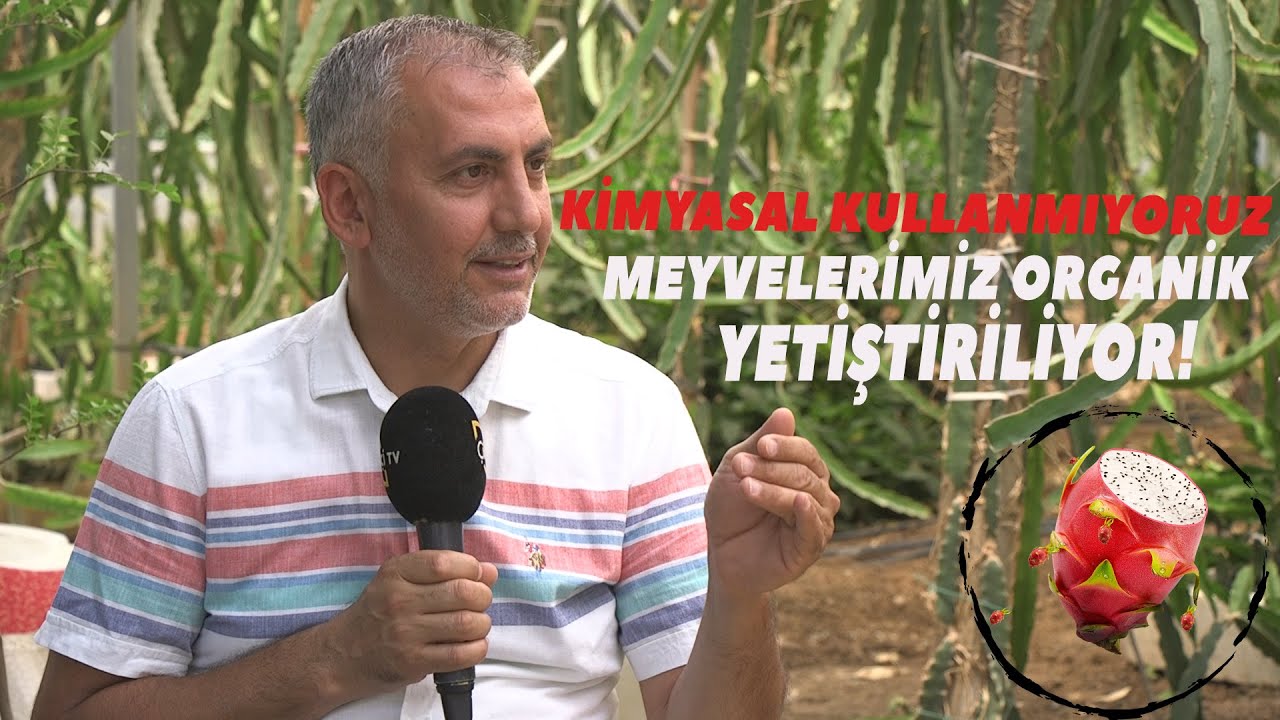 Ejder Meyvesi Yetiştiriciliği Hakkında Her Şey! - Meyveci