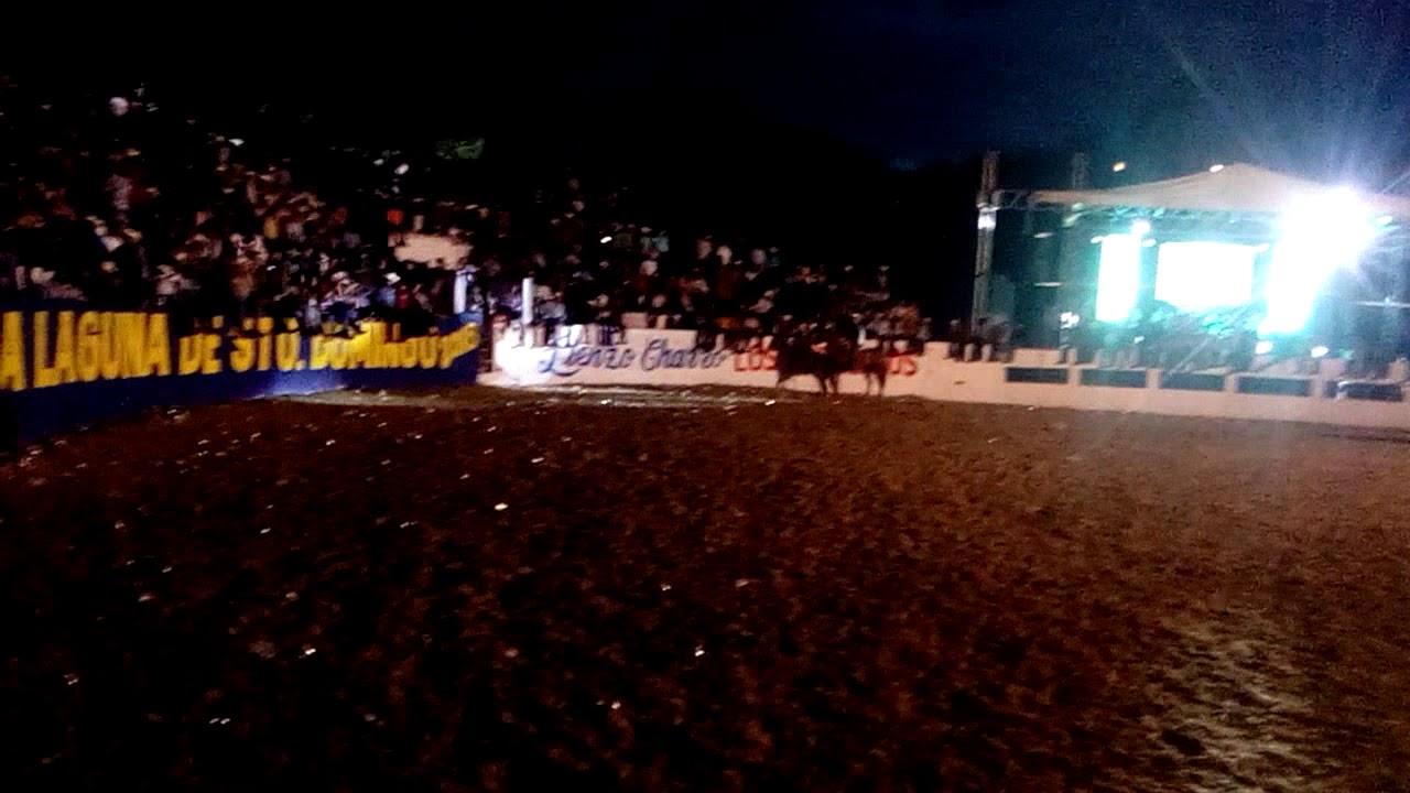 El polvorero de rosa de castilla