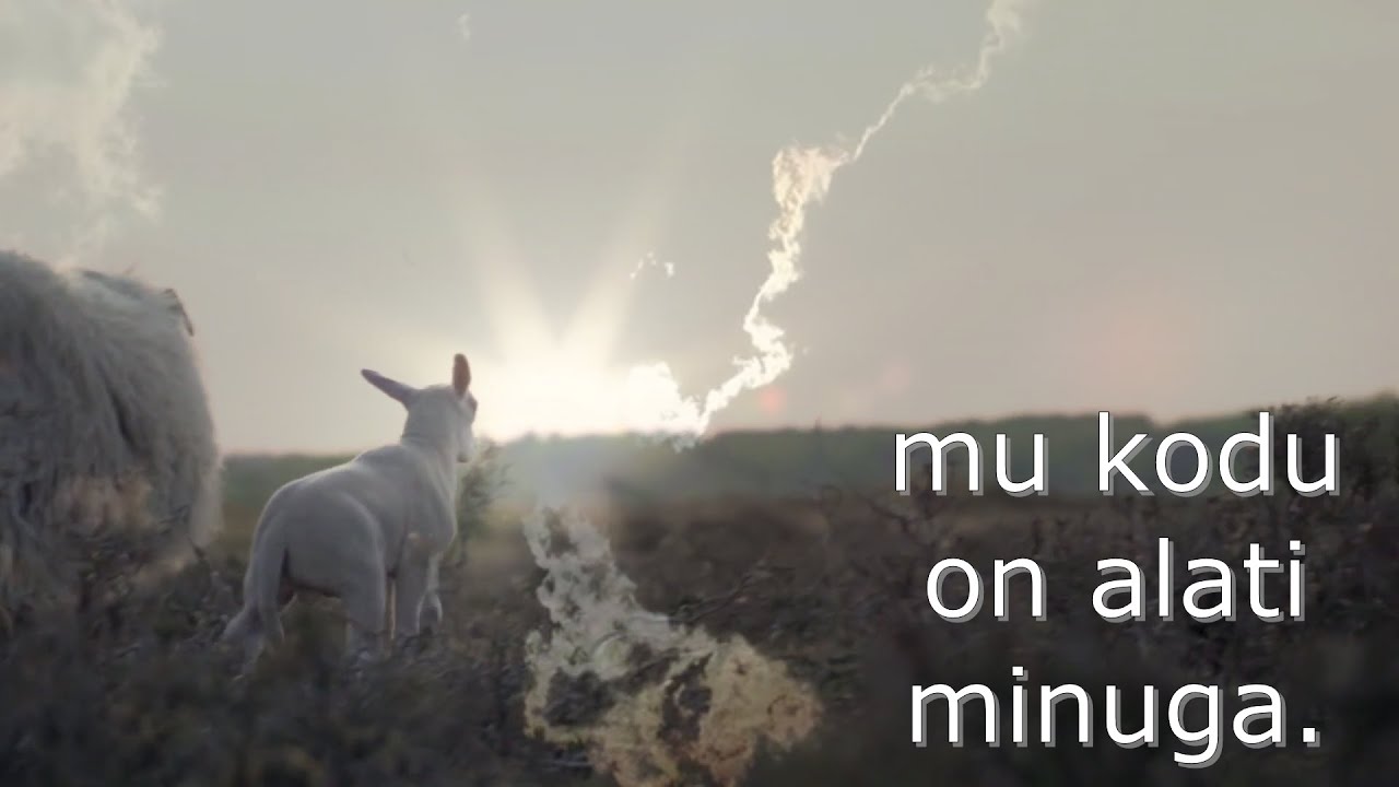 Minu kodu / Palju &otilde;nne Eesti Vabariigi 106. aastap&auml;eva puhul!