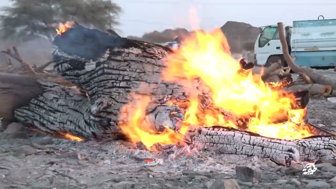 حفل زواج الشابين / مبروك عواد عتيق الفايدي و أحمد عواد عتيق الفايدي