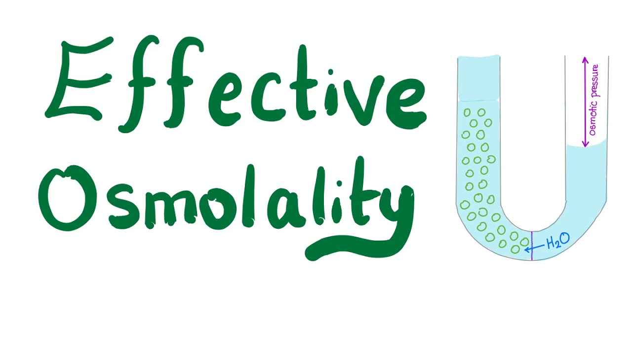 Effective Osmolality - Fluids and Electrolytes