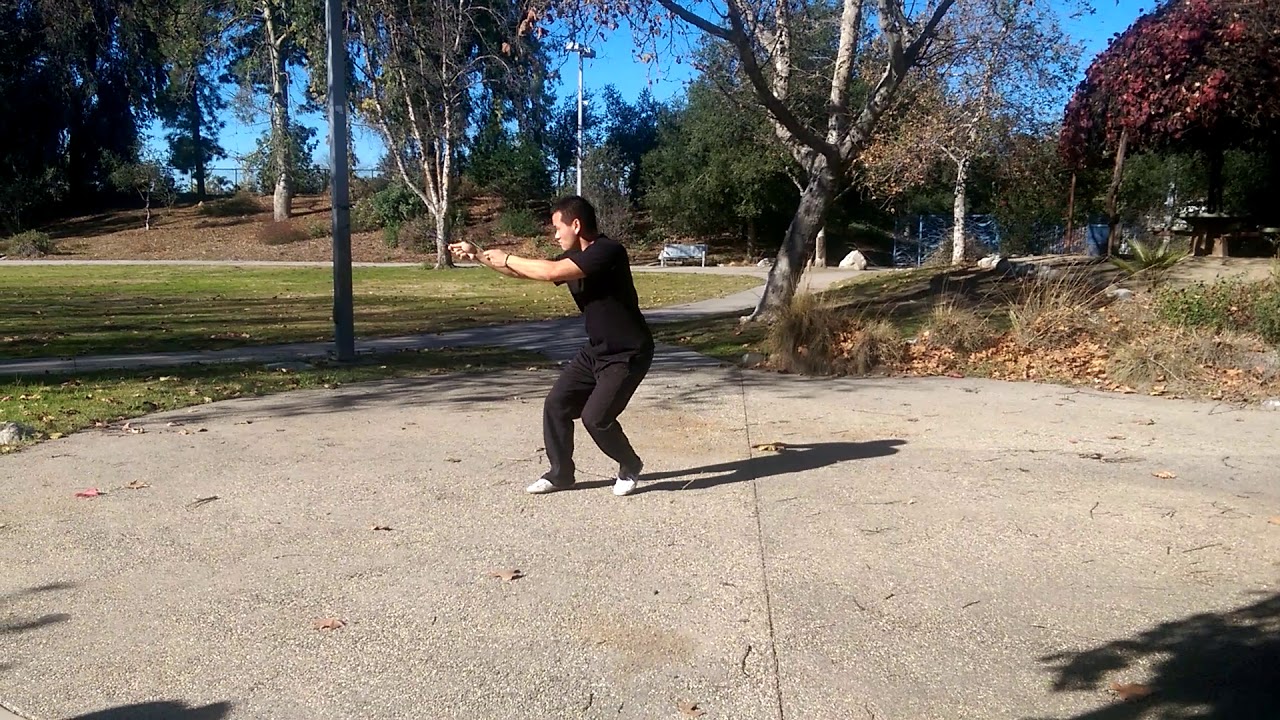 Bagua Needles (八卦點穴針)